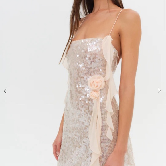 For love and lemons Sydney sequin dress - Picture 3 of 5